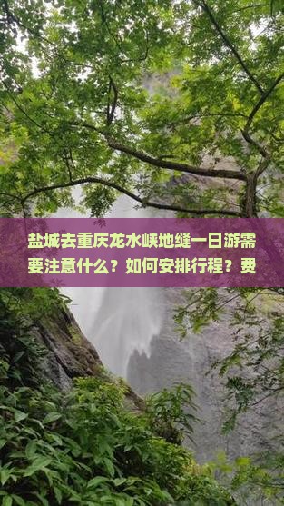 盐城去重庆龙水峡地缝一日游需要注意什么？如何安排行程？费用大概是多少？