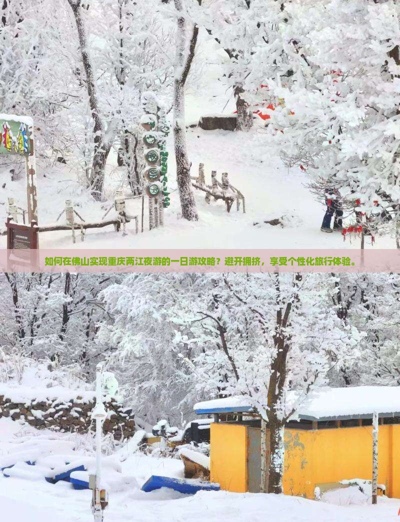 如何在佛山实现重庆两江夜游的一日游攻略？避开拥挤，享受个性化旅行体验。