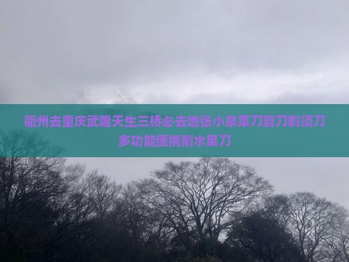 衢州去重庆武隆天生三桥必去地张小泉菜刀剪刀剃须刀多功能便携削水果刀