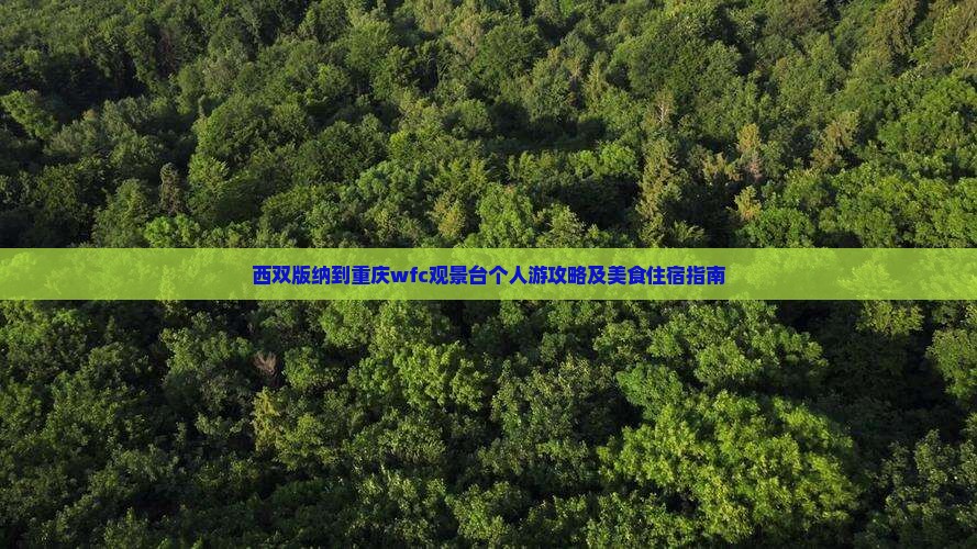 西双版纳到重庆wfc观景台个人游攻略及美食住宿指南