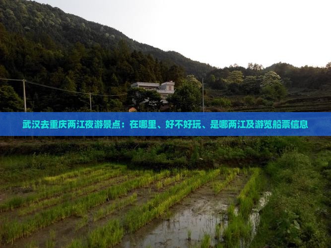武汉去重庆两江夜游景点：在哪里、好不好玩、是哪两江及游览船票信息