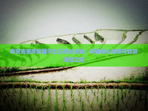 泰安去重庆武隆天生三桥必去地：探秘地心奇观与自然美景之旅