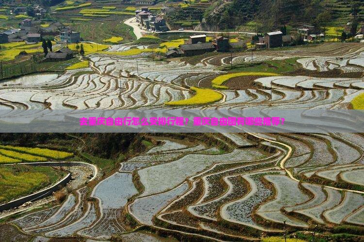 去重庆自由行怎么安排行程？重庆自由团有哪些推荐？