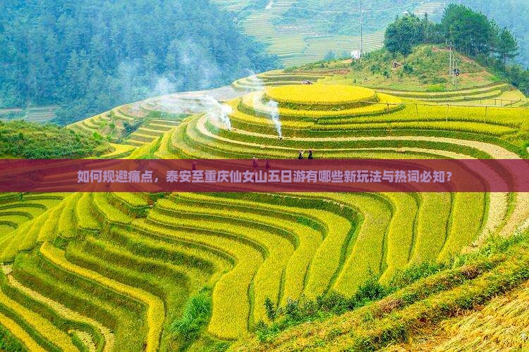 如何规避痛点，泰安至重庆仙女山五日游有哪些新玩法与热词必知？