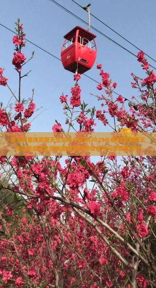 春天到重庆武隆天生三桥七日游