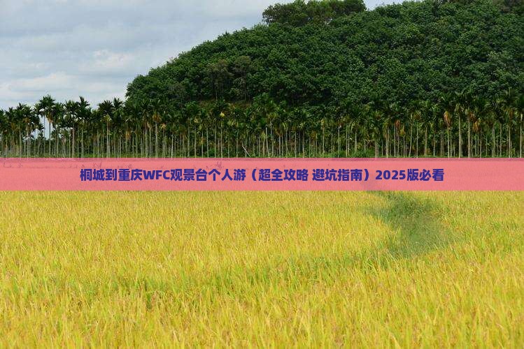 桐城到重庆wfc观景台个人游