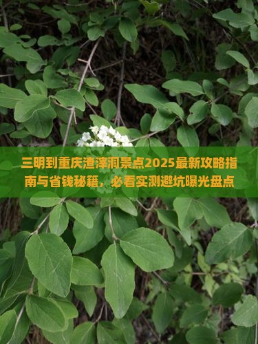 三明到重庆渣滓洞景点 三明到重庆渣滓洞景点