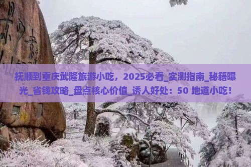 抚顺到重庆武隆旅游小吃
