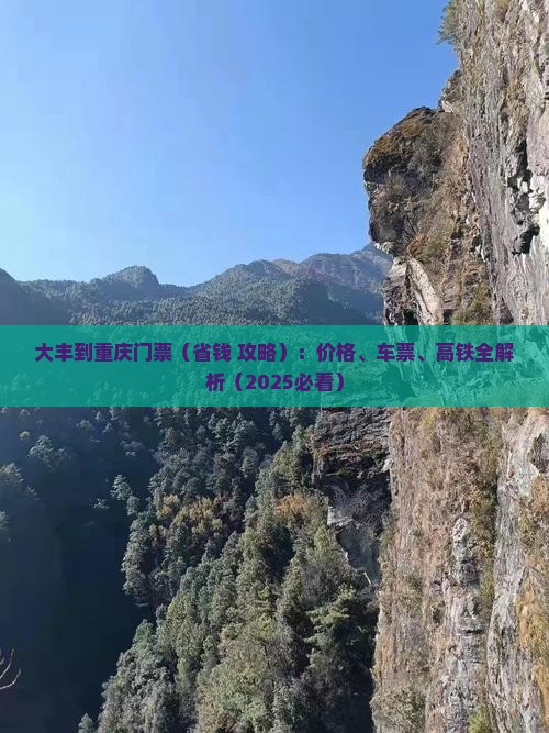 大丰到重庆门票