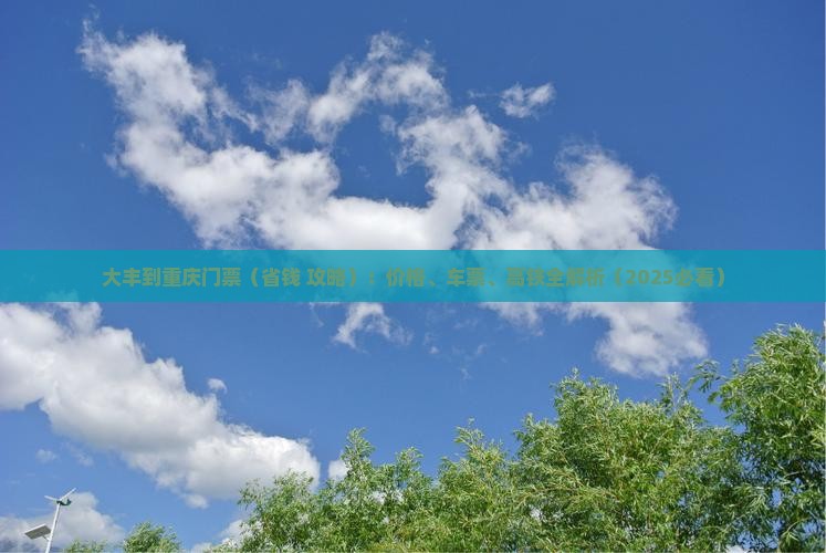大丰到重庆门票