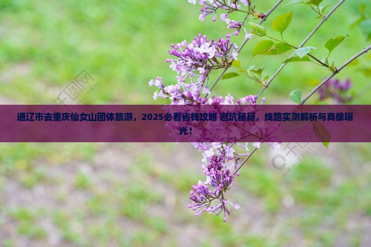 通辽市去重庆仙女山团体旅游
