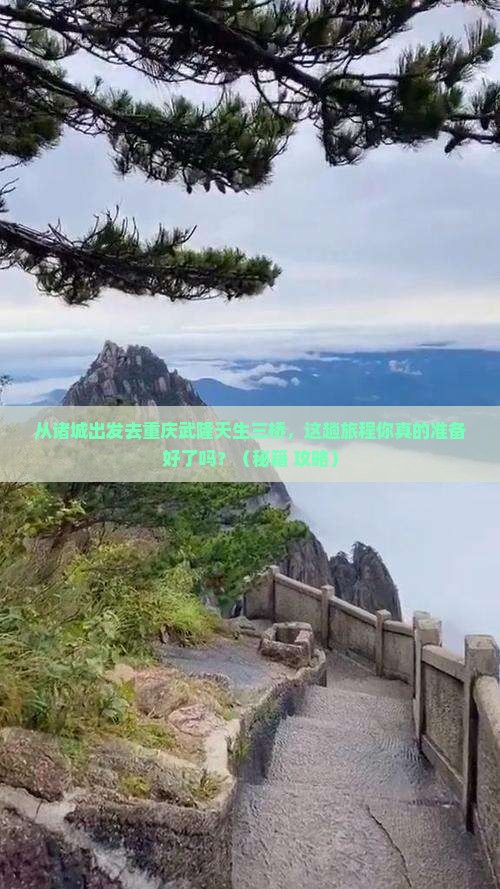 诸城去重庆武隆天生三桥必去地