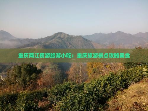 邵阳去重庆两江夜游旅游小吃