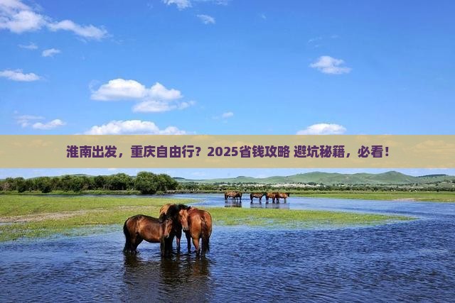 淮南到重庆自由团