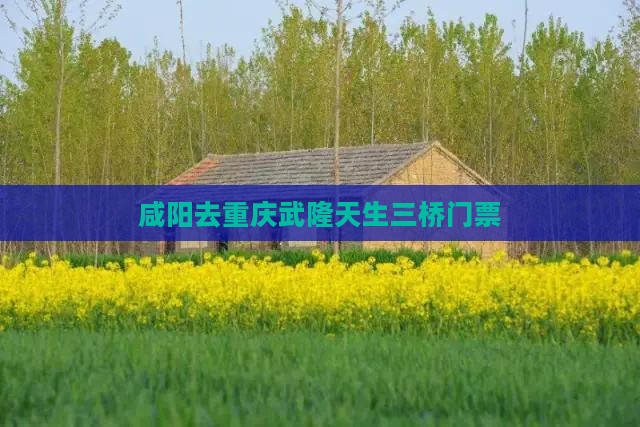 咸阳去重庆武隆天生三桥门票