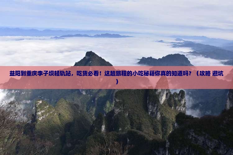 益阳到重庆李子坝轻轨站旅游小吃