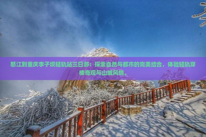 怒江到重庆李子坝轻轨站三日游