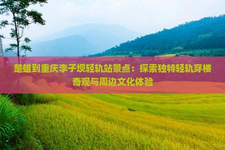 楚雄到重庆李子坝轻轨站景点
