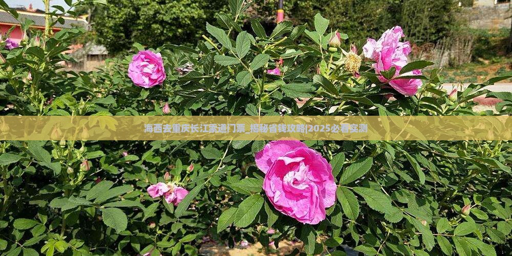 海西去重庆长江索道门票