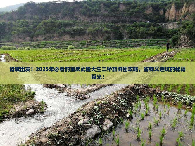 诸城到重庆武隆天生三桥大型旅游团