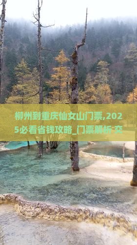 柳州到重庆仙女山门票