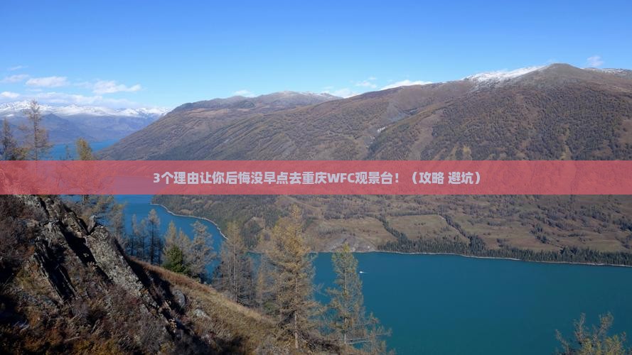 白银去重庆wfc观景台攻略