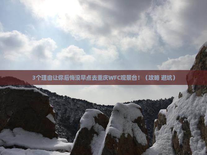 白银去重庆wfc观景台攻略
