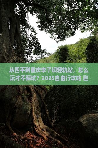 四平到重庆李子坝轻轨站自由行