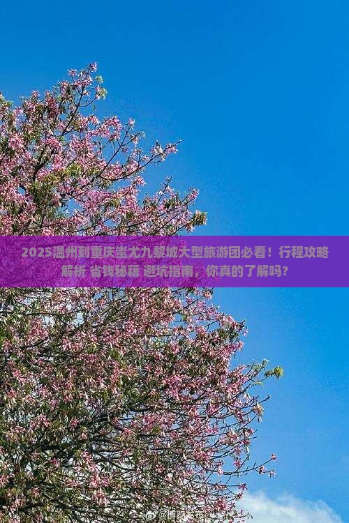 温州到重庆蚩尤九黎城大型旅游团