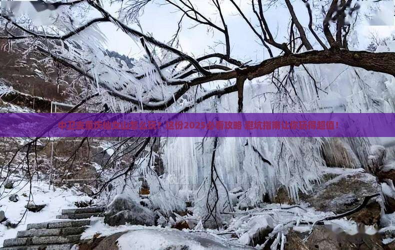 中卫去重庆仙女山哪里玩