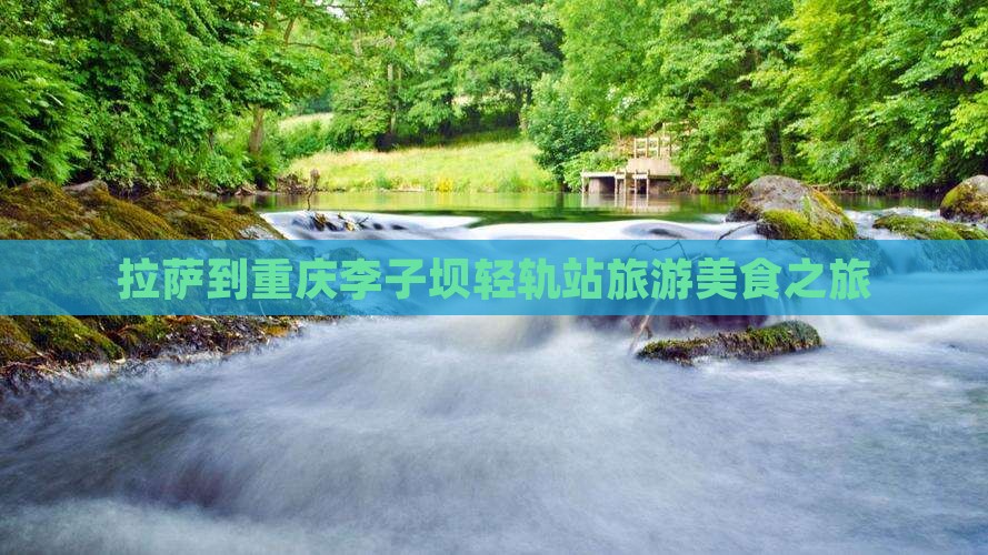 拉萨到重庆李子坝轻轨站旅游小吃