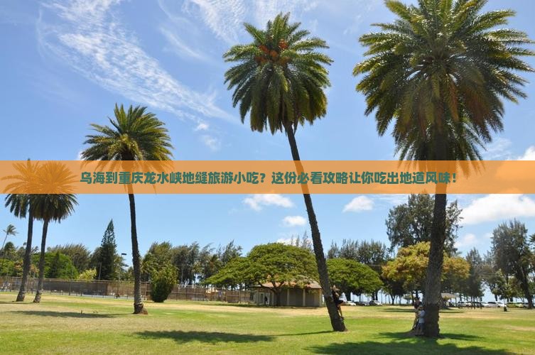乌海到重庆龙水峡地缝旅游小吃 乌海到重庆龙水峡地缝旅游小吃