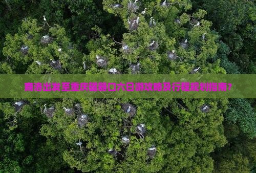 商洛出发至重庆磁器口六日游攻略及行程规划指南？