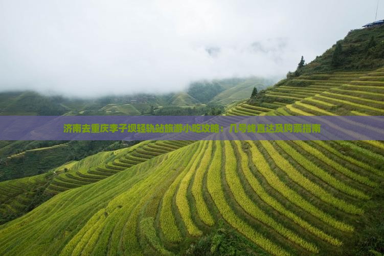 济南去重庆李子坝轻轨站旅游小吃攻略：几号线直达及购票指南