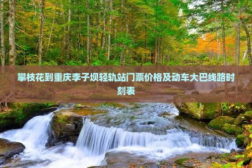 攀枝花到重庆李子坝轻轨站门票价格及动车大巴线路时刻表