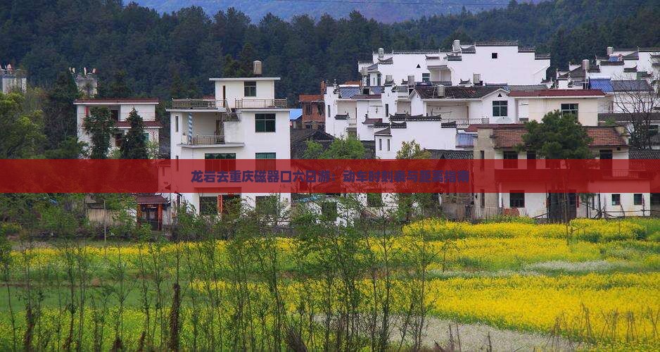 龙岩去重庆磁器口六日游：动车时刻表与距离指南