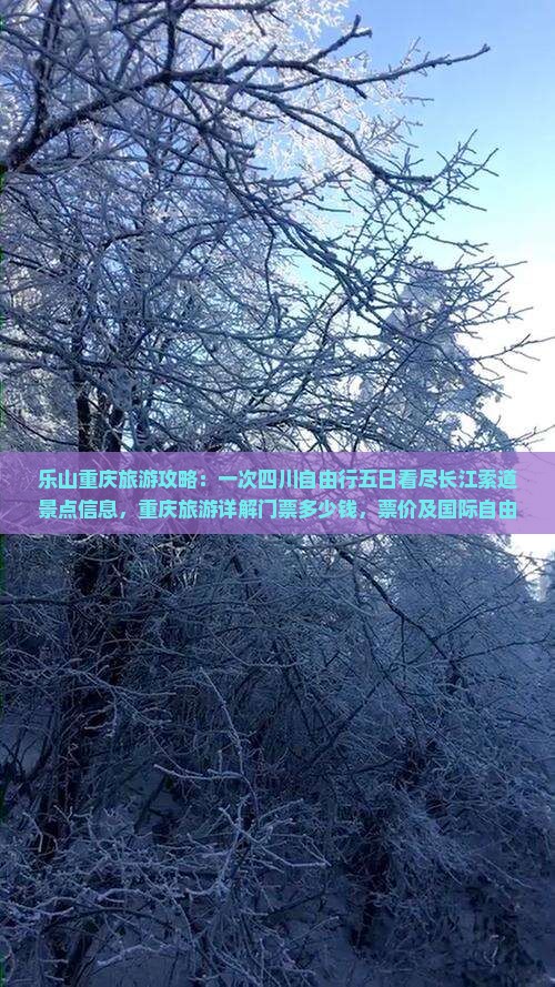 乐山重庆旅游攻略：一次四川自由行五日看尽长江索道景点信息，重庆旅游详解门票多少钱，票价及国际自由行方案