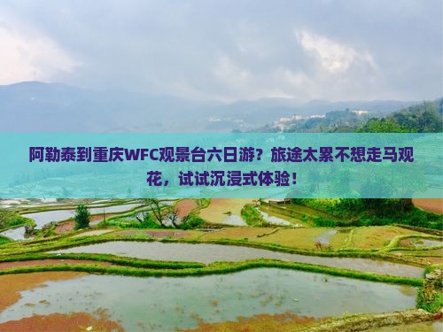 阿勒泰到重庆WFC观景台六日游？旅途太累不想走马观花，试试沉浸式体验！