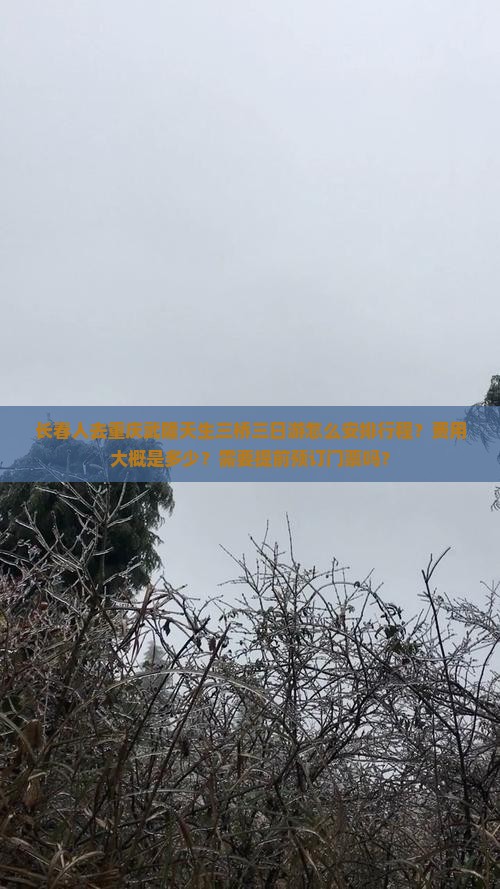 长春人去重庆武隆天生三桥三日游怎么安排行程？费用大概是多少？需要提前预订门票吗？