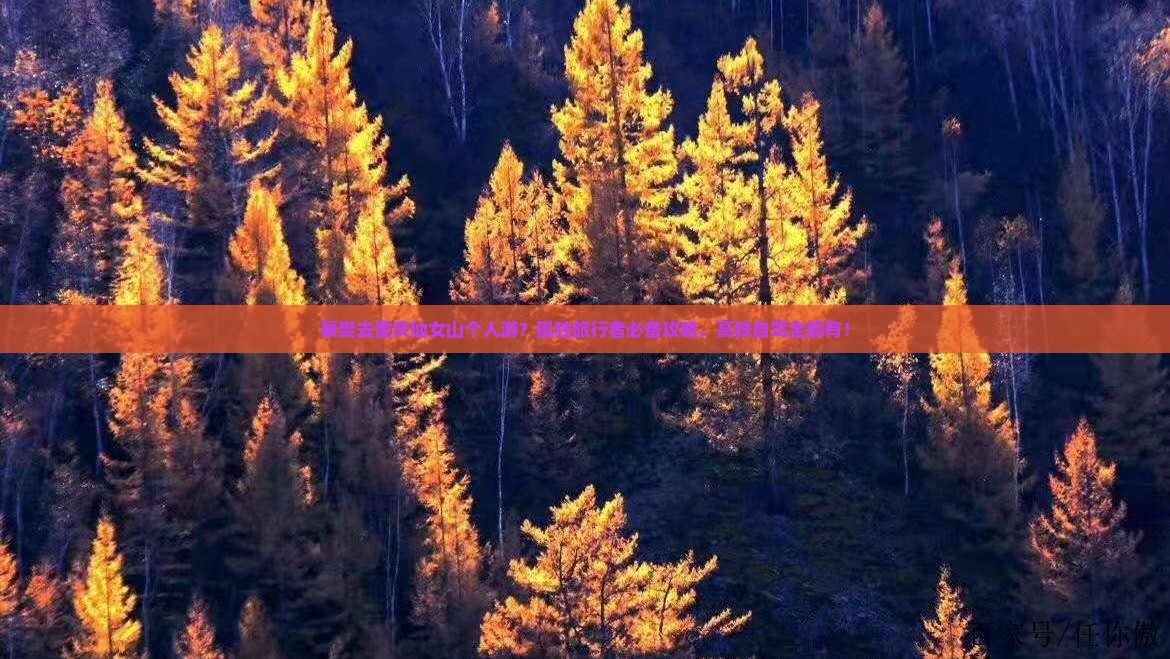 襄樊去重庆仙女山个人游？孤独旅行者必备攻略，高铁自驾全都有！