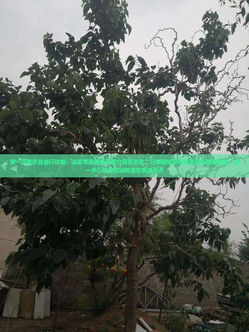 第一次重庆自由行攻略：这篇专题带你看看白银至武隆二日游路线及张家界南京旅游信息，第一手行程让你玩转重庆旅游景点