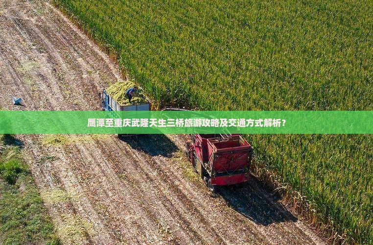 鹰潭至重庆武隆天生三桥旅游攻略及交通方式解析？