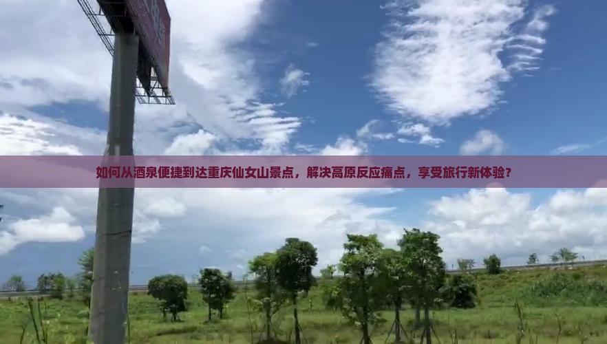 如何从酒泉便捷到达重庆仙女山景点，解决高原反应痛点，享受旅行新体验？