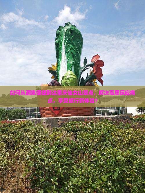 如何从酒泉便捷到达重庆仙女山景点，解决高原反应痛点，享受旅行新体验？