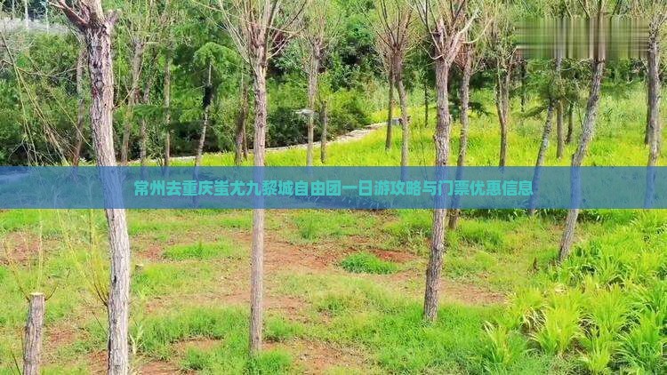 常州去重庆蚩尤九黎城自由团一日游攻略与门票优惠信息