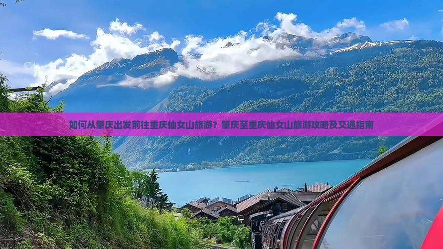 如何从肇庆出发前往重庆仙女山旅游？肇庆至重庆仙女山旅游攻略及交通指南