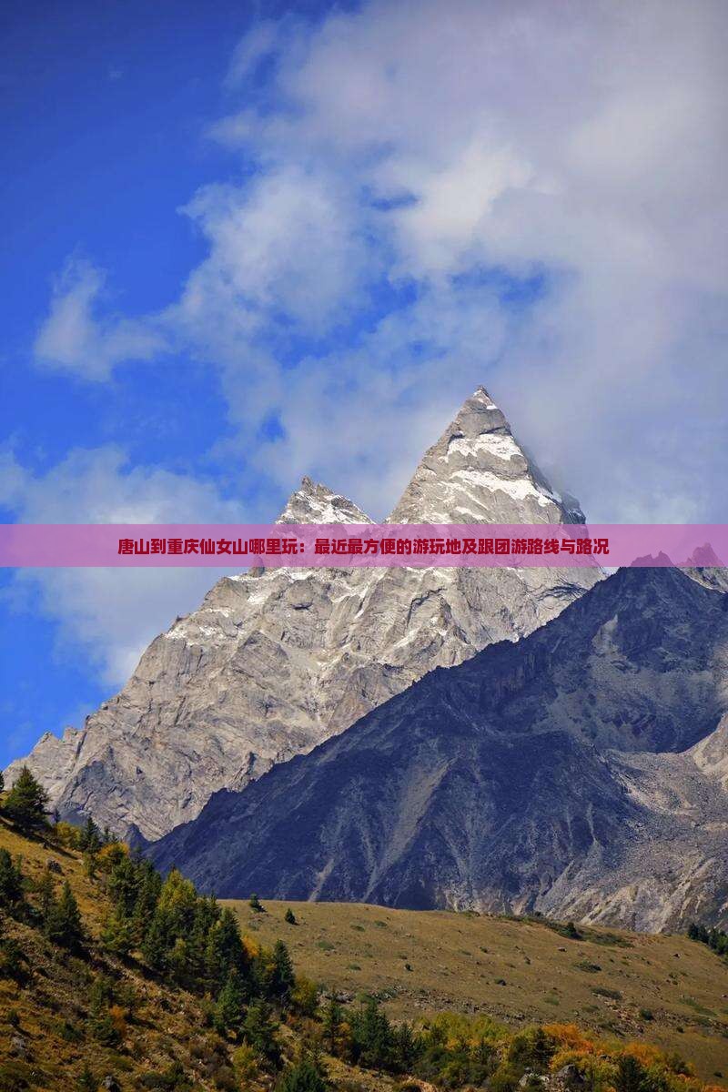 唐山到重庆仙女山哪里玩：最近最方便的游玩地及跟团游路线与路况