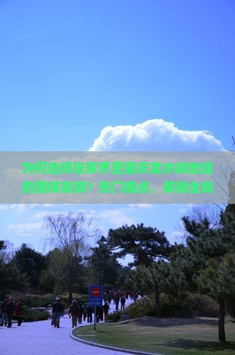 为何选择张家界至重庆龙水峡地缝的团体旅游？热门痛点，解锁全新旅行体验！