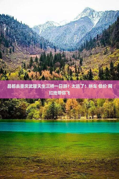 昌都去重庆武隆天生三桥一日游？太远了！拼车+低价+网红地带你飞