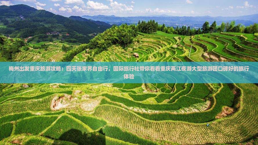 梅州出发重庆旅游攻略：四天张家界自由行，国际旅行社带你看看重庆两江夜游大型旅游团口碑好的旅行体验